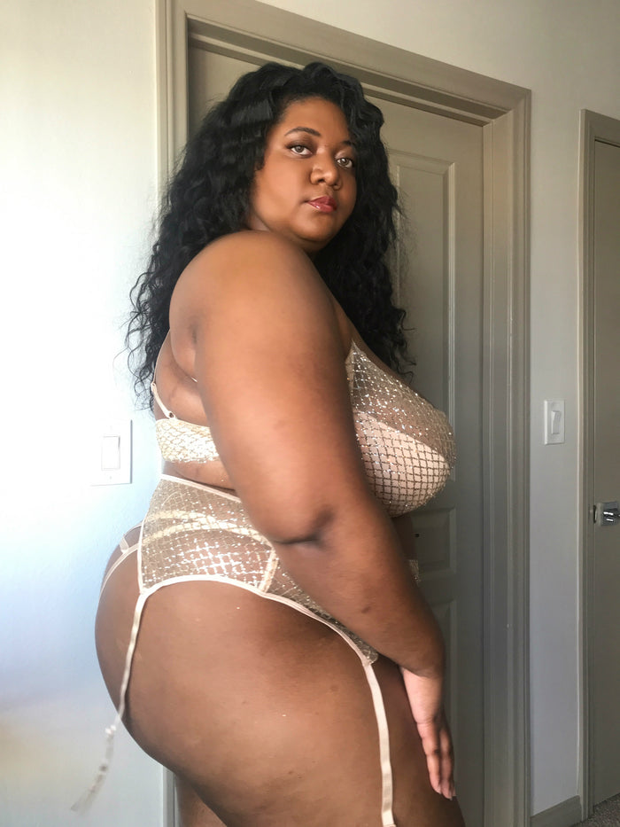 Plus Size Glitter Bra and Garter Panty Set 1